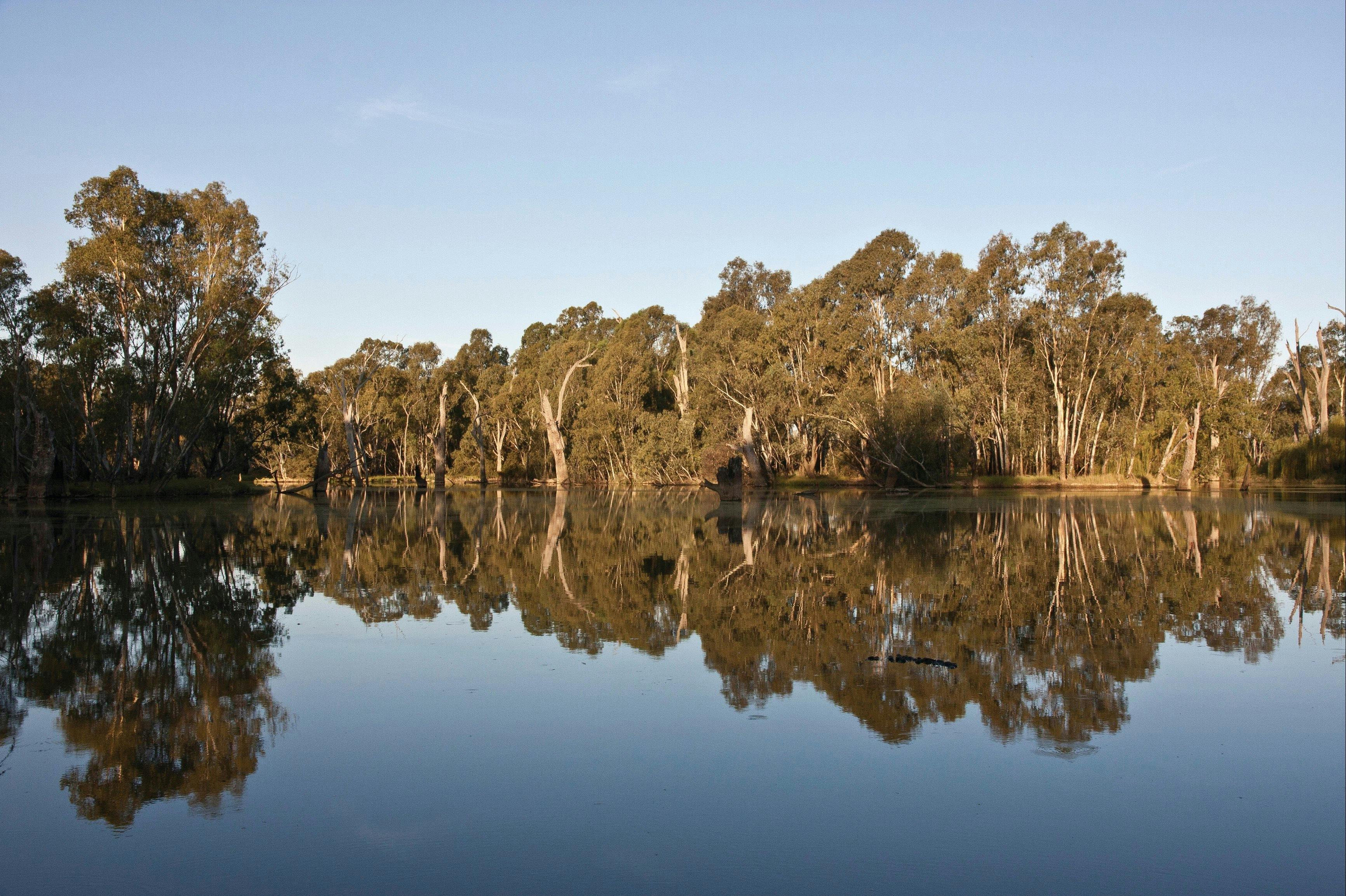 Warby-Ovens National Park