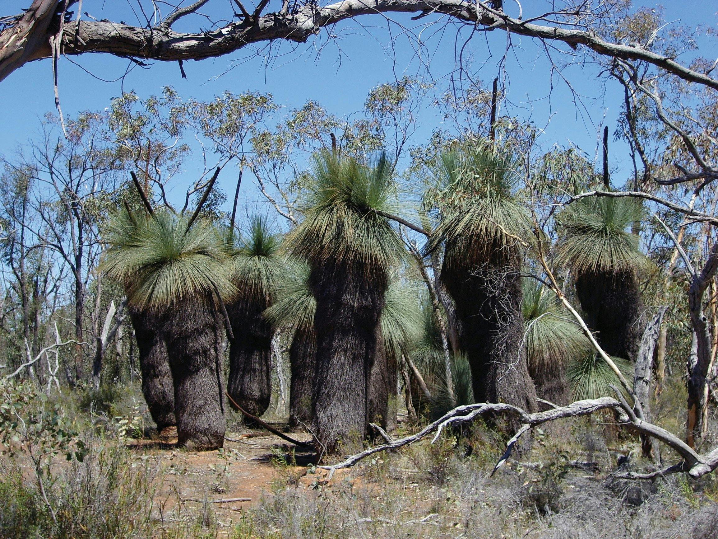 Warby-Ovens National Park