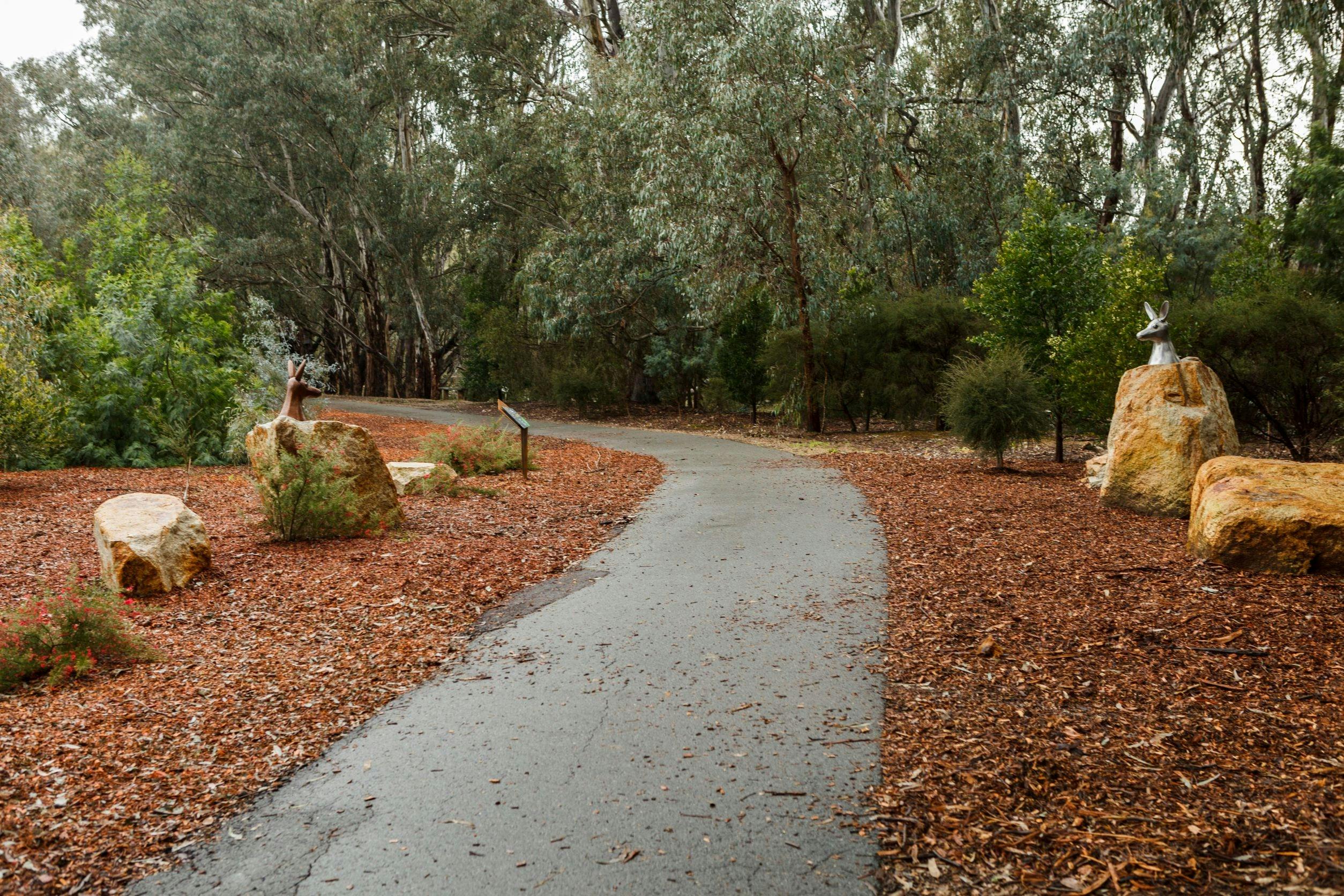 Path along Bullawah Cultural Trail.