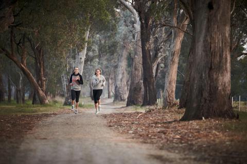 Wangaratta Park Run