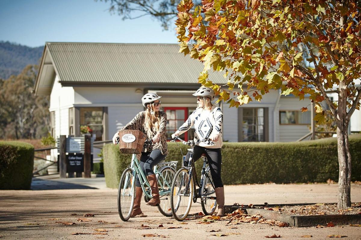 bike riders in front of dalzotto wines