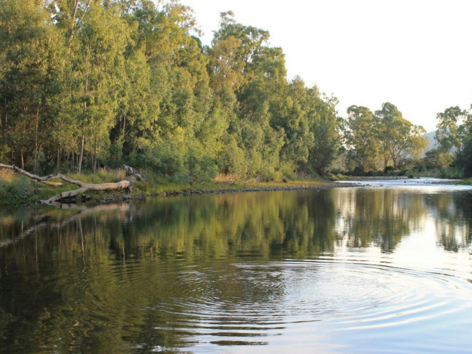 King River at Gentle Annie Caravan Park & Camping Reserve