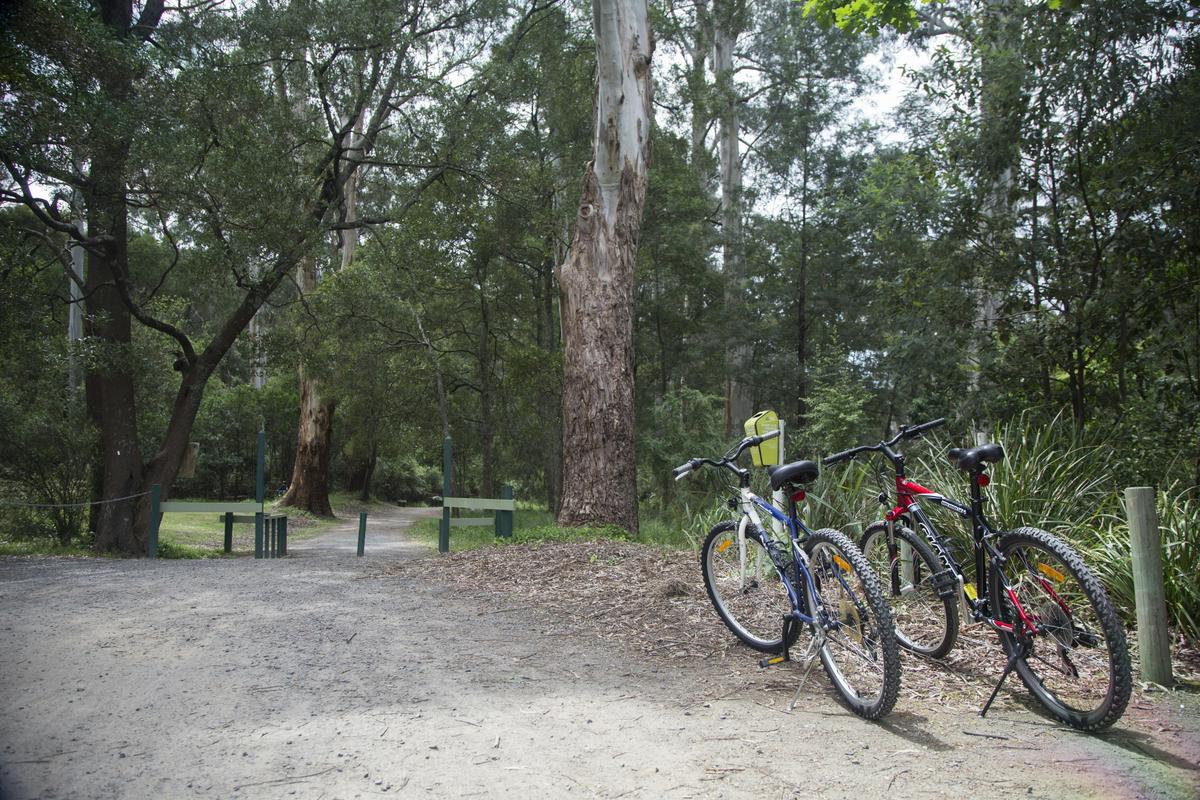If you feel like exploring the area there are plenty of accessible walking and riding trails.