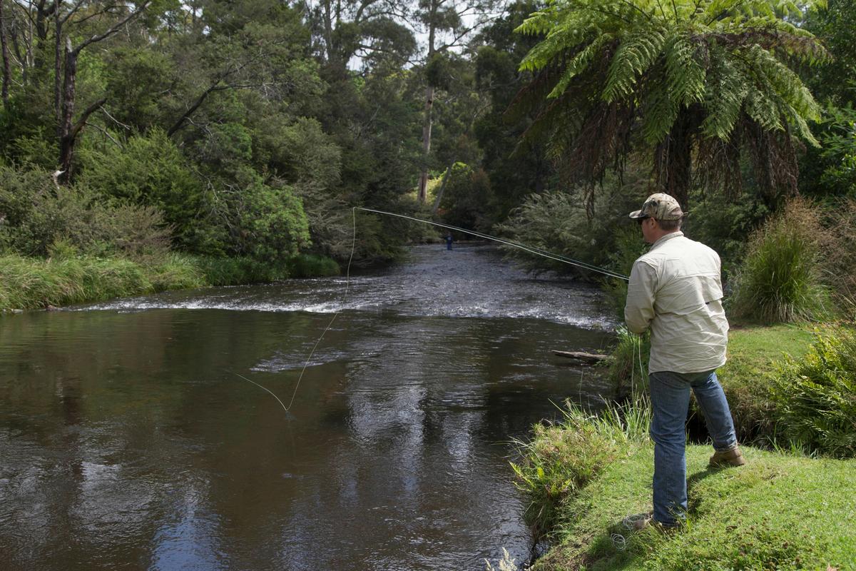 Feel like a spot of fishing? There are great spots a short walk from the Holiday Park.