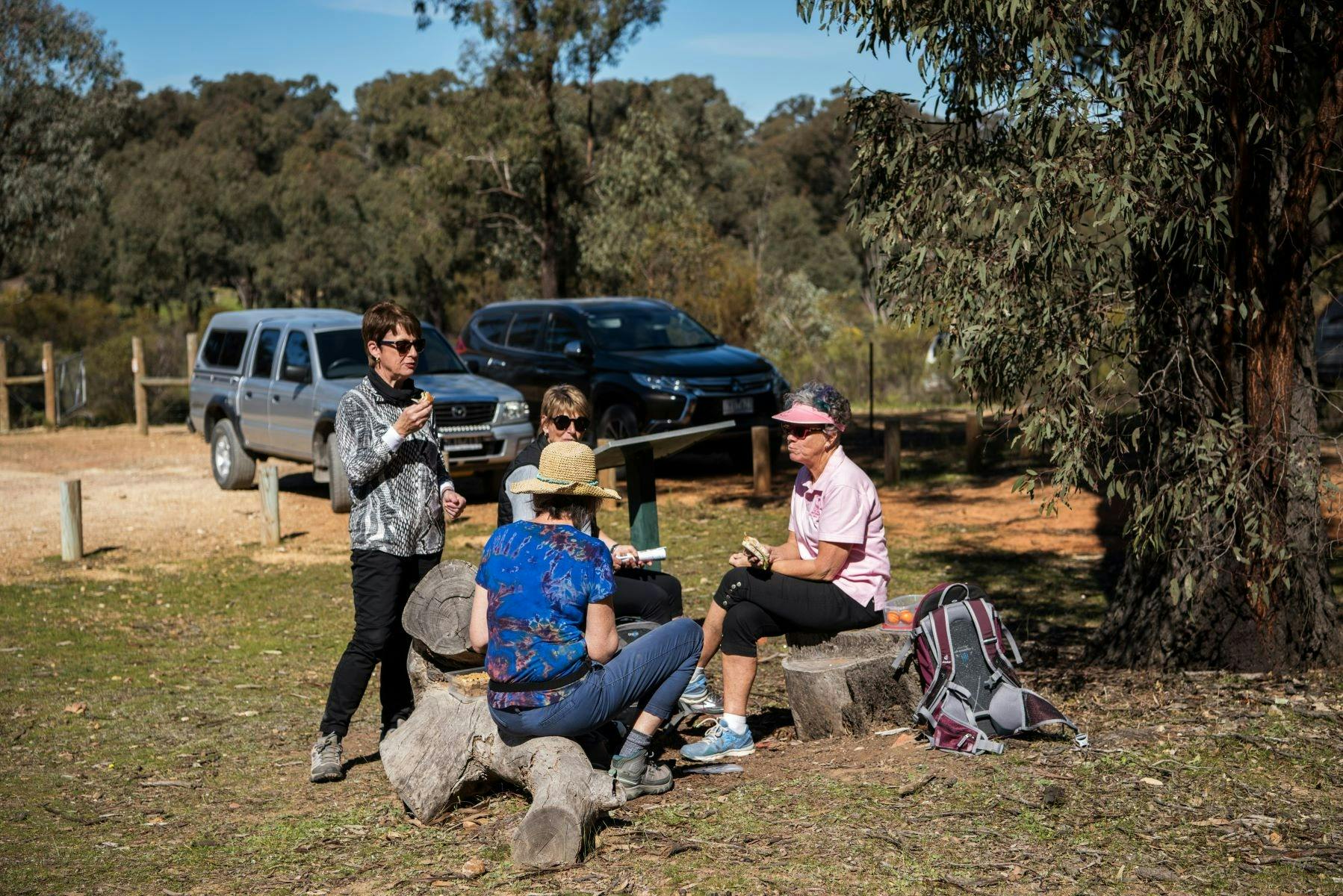 Whroo & Balaclava Mine