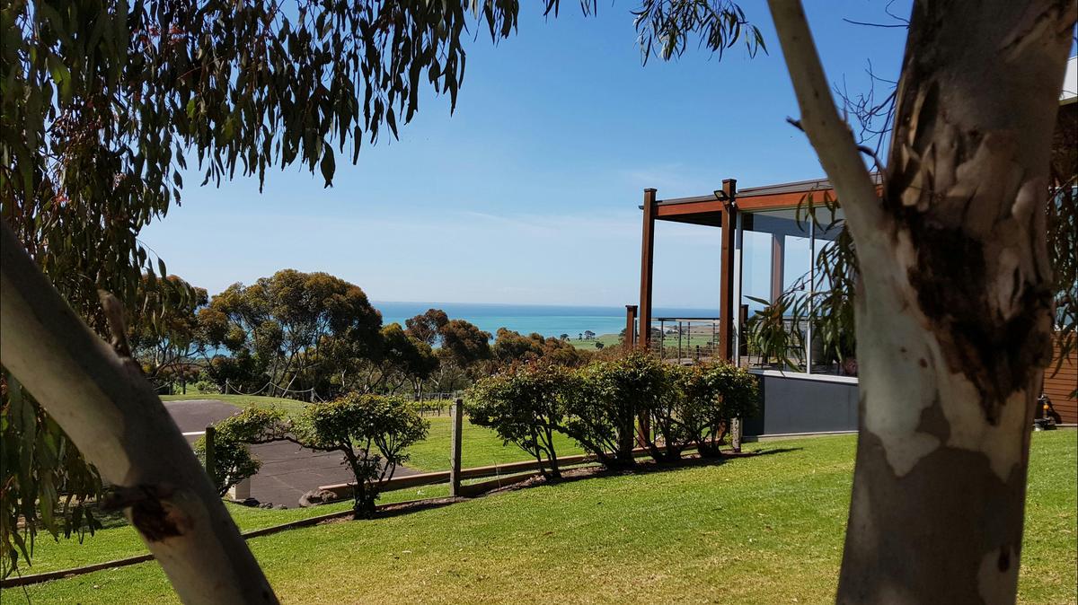 Wine Tours by Block78
