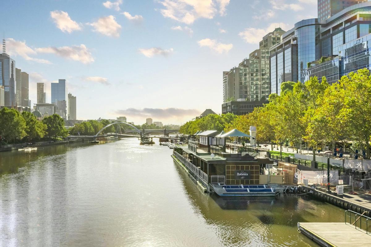 Yarra botanica - view from the bridge