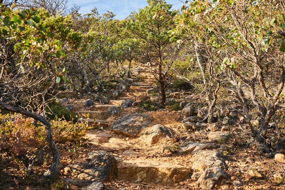 Wurgarri (Mount Sturgeon) Walk