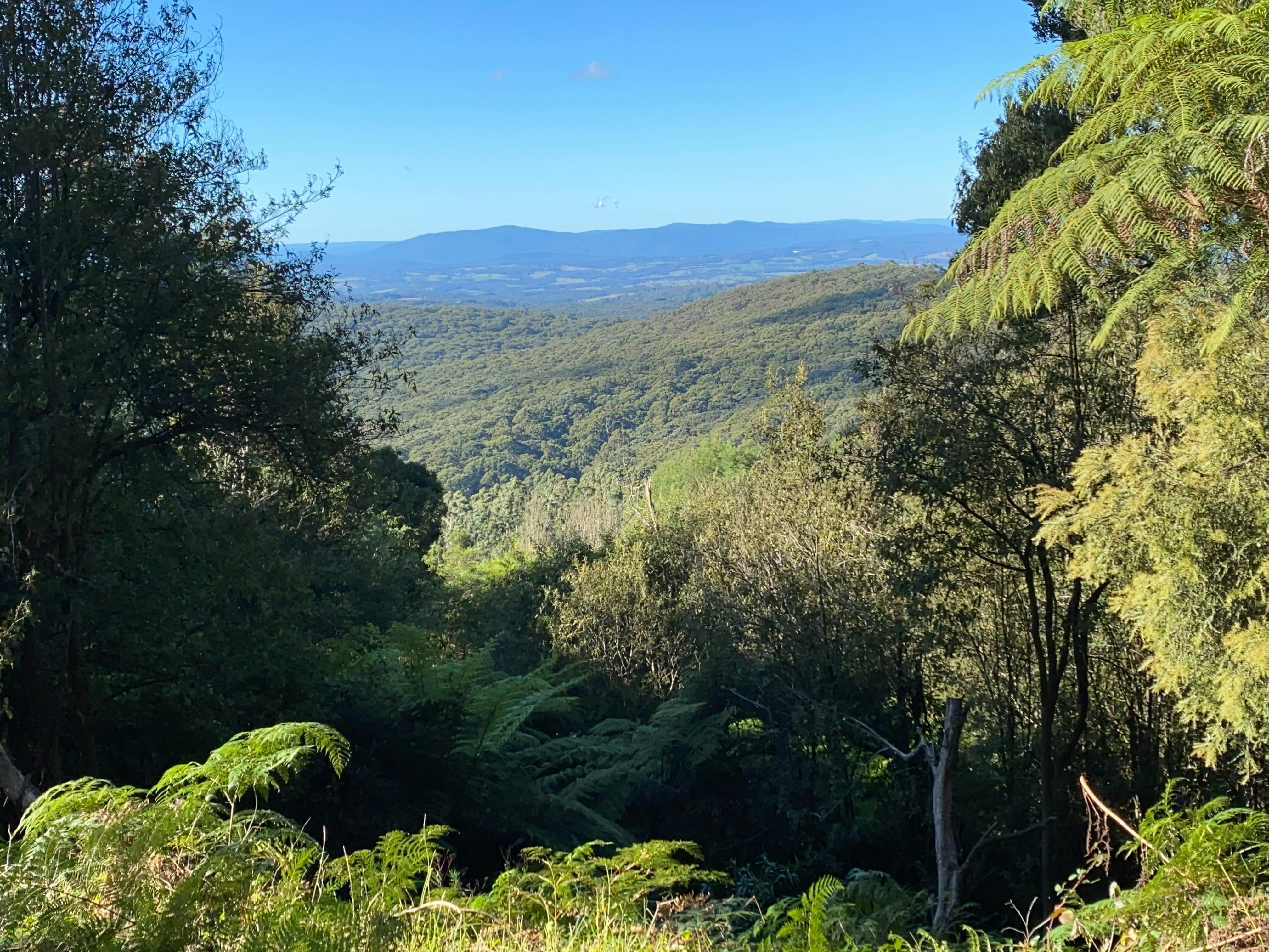 Yarra Ranges view