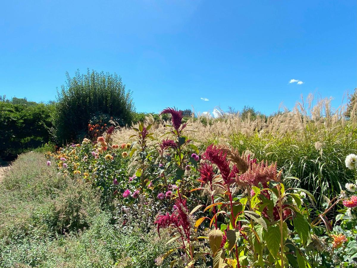Yarra Valley Gardens