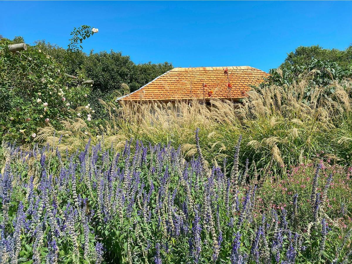 Yarra Valley Manna Gum Tours - Private Wildlife and Nature Tours