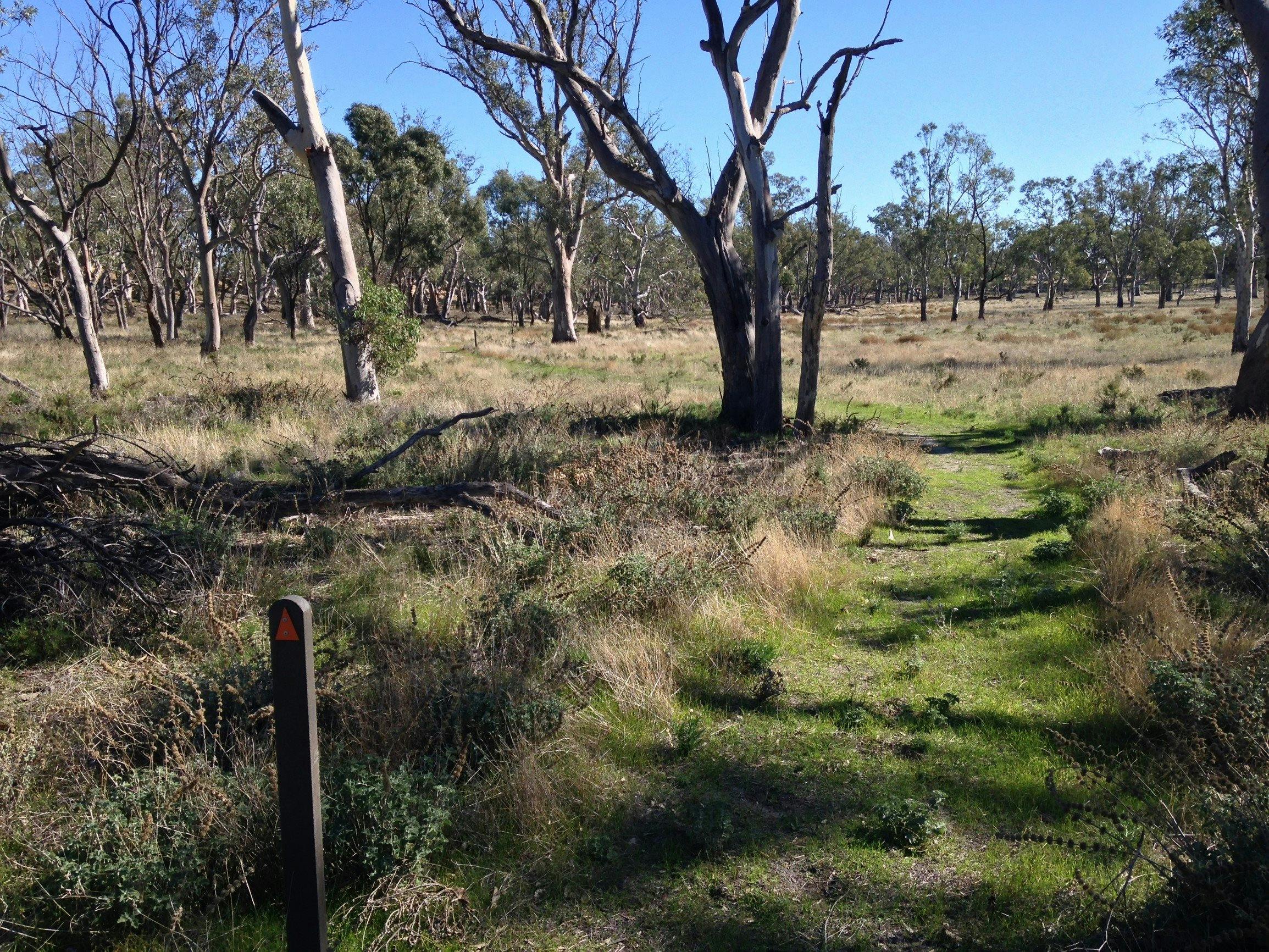 Wyperfeld National Park