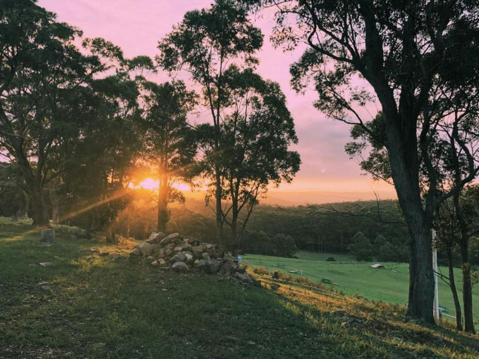 Two Day Charcuterie Course at Martin's Ridge Farm