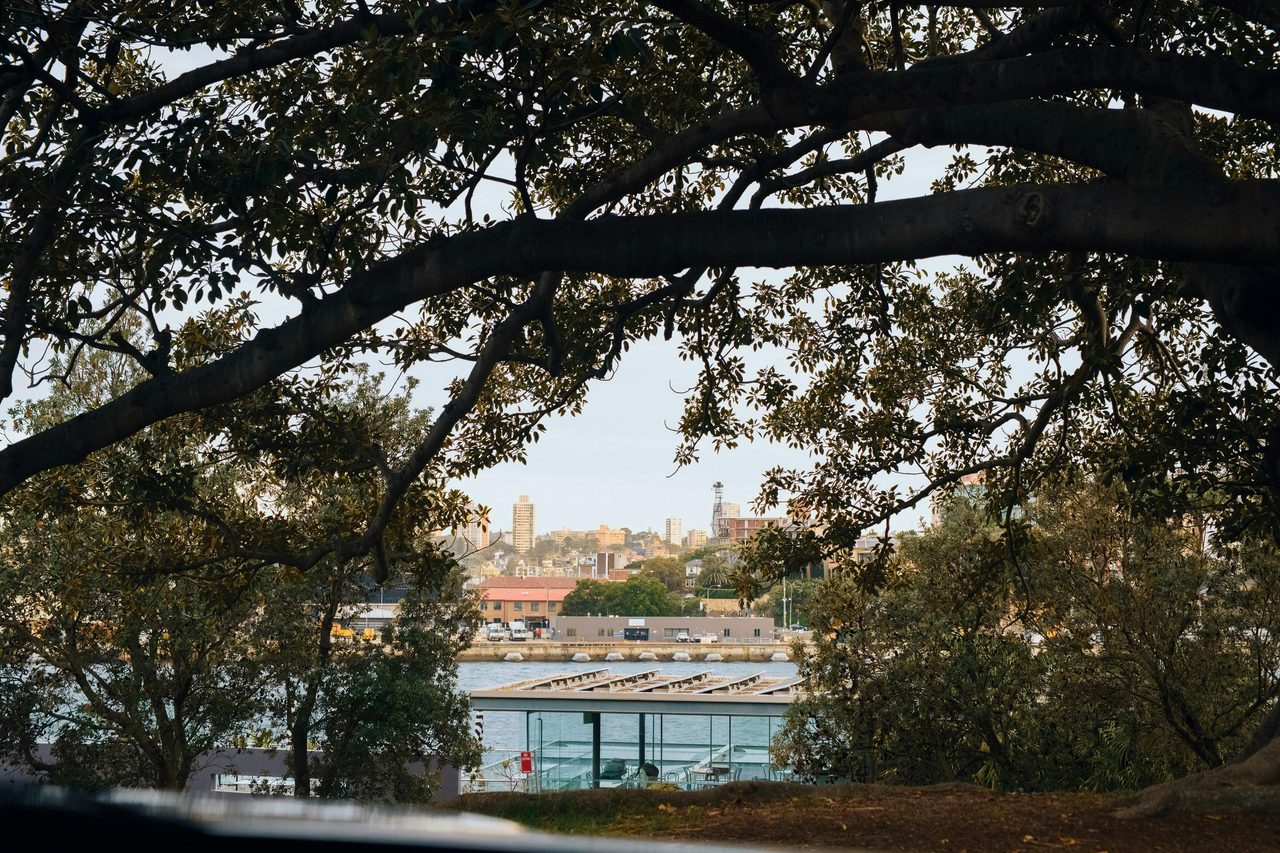 Andrew Boy Charlton Pool, Sydney