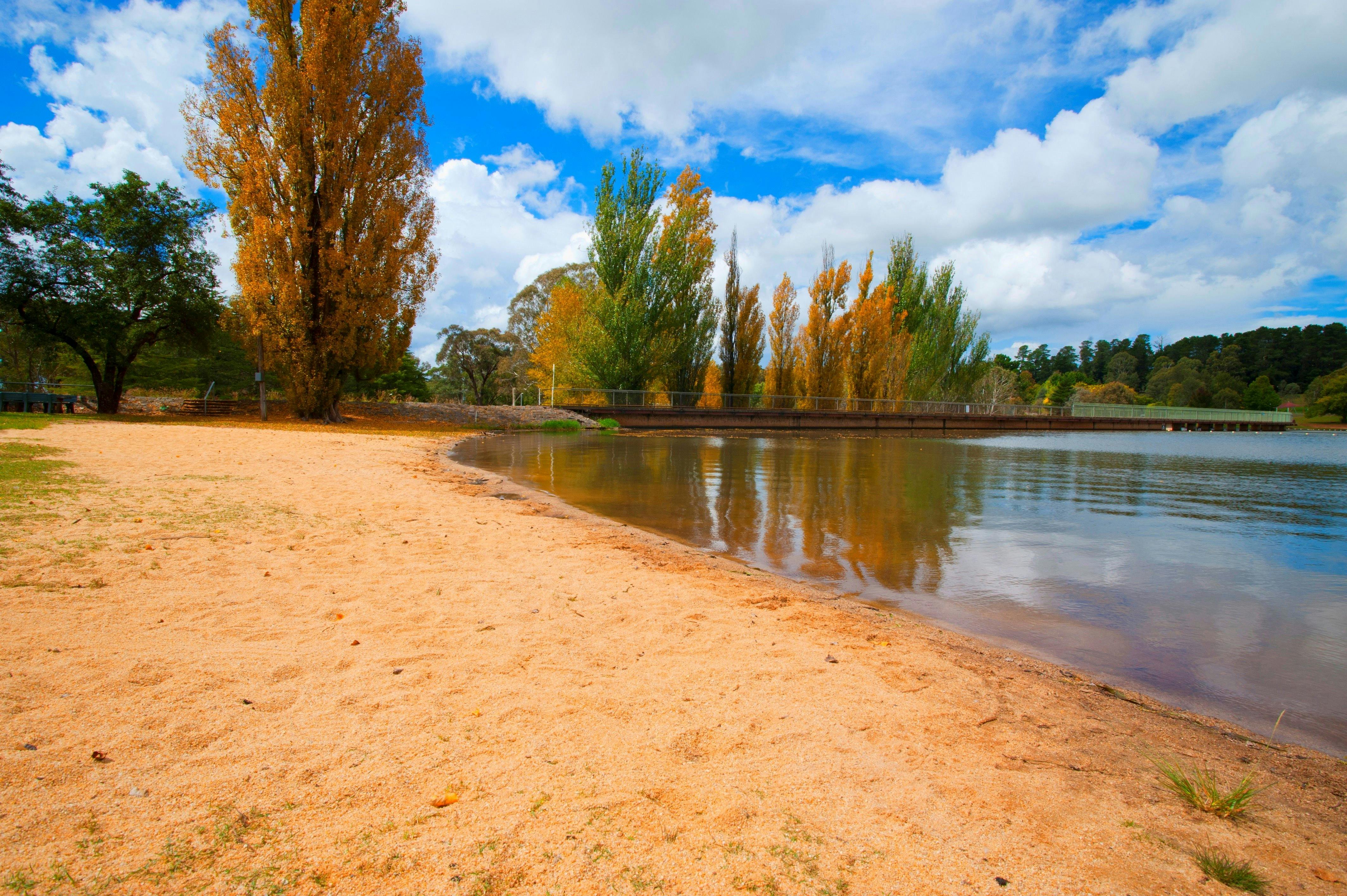 Lake Canobolas beach area