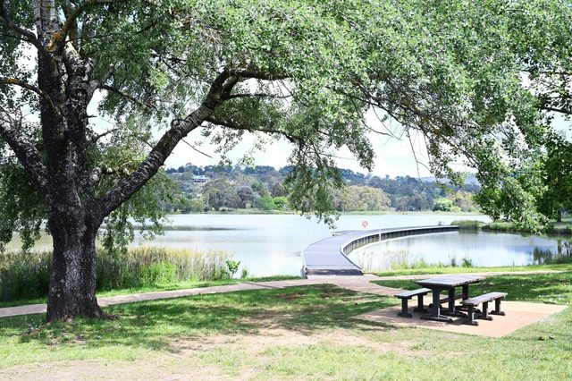 Lake Canobolas Reserve