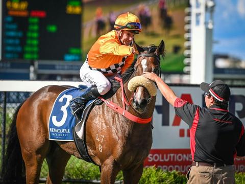 AHA Newcastle + Pitcher Partners Race Day