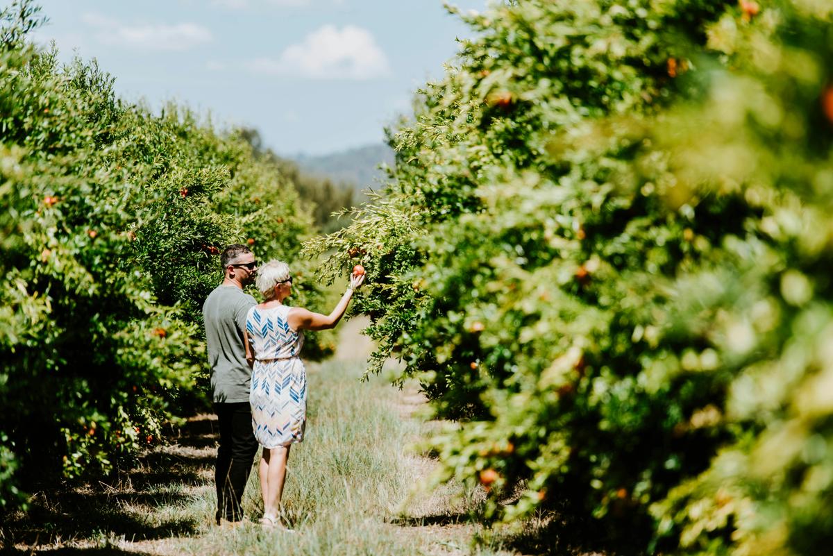 Aril Estate Guided Farm Tours