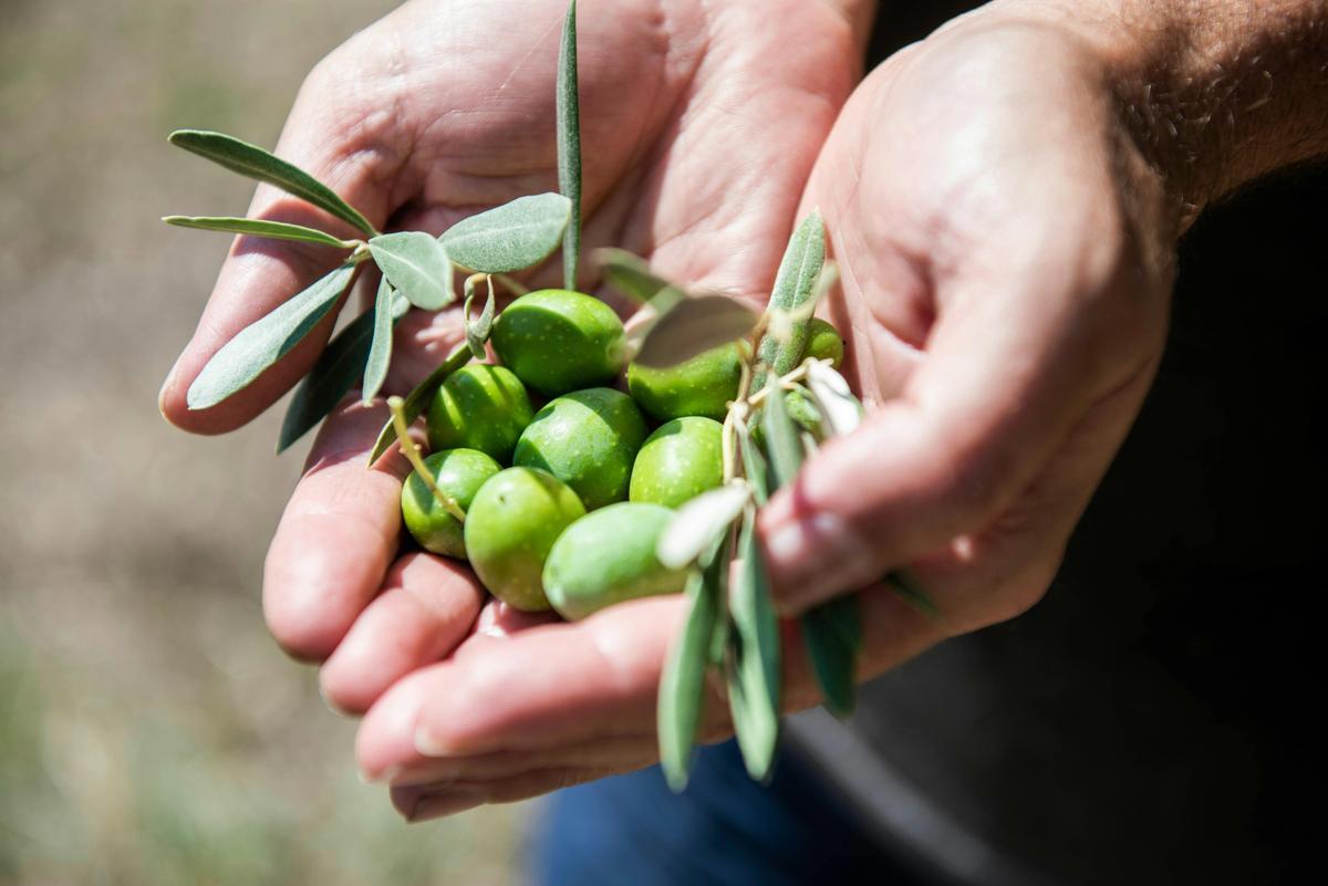 Aril Estate Guided Farm Tours