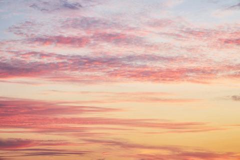 Anzac Day Breakfast Cruise