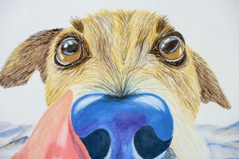 ARTEXPRESS - Maitland