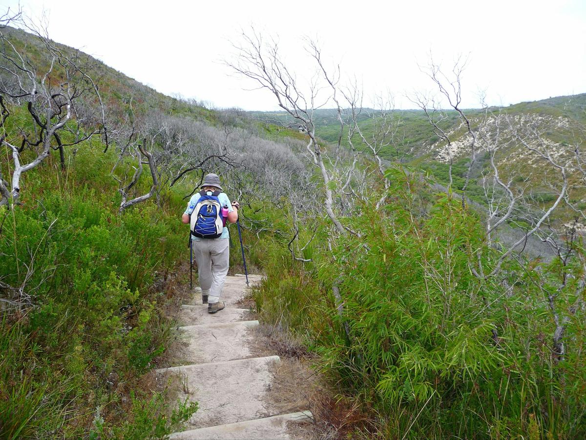 Walking along the Cape to Cape Track, Western Australia