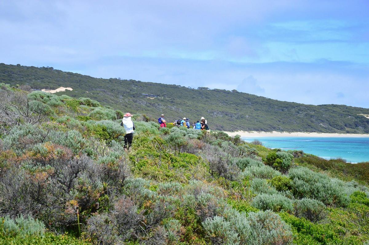Walking along the Cape to Cape Track, Western Australia