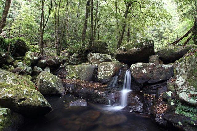 Kangaroo River
