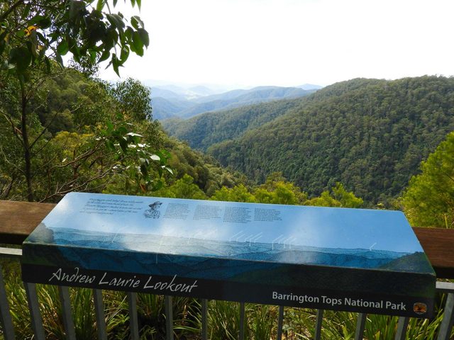 Andrew Laurie Lookout