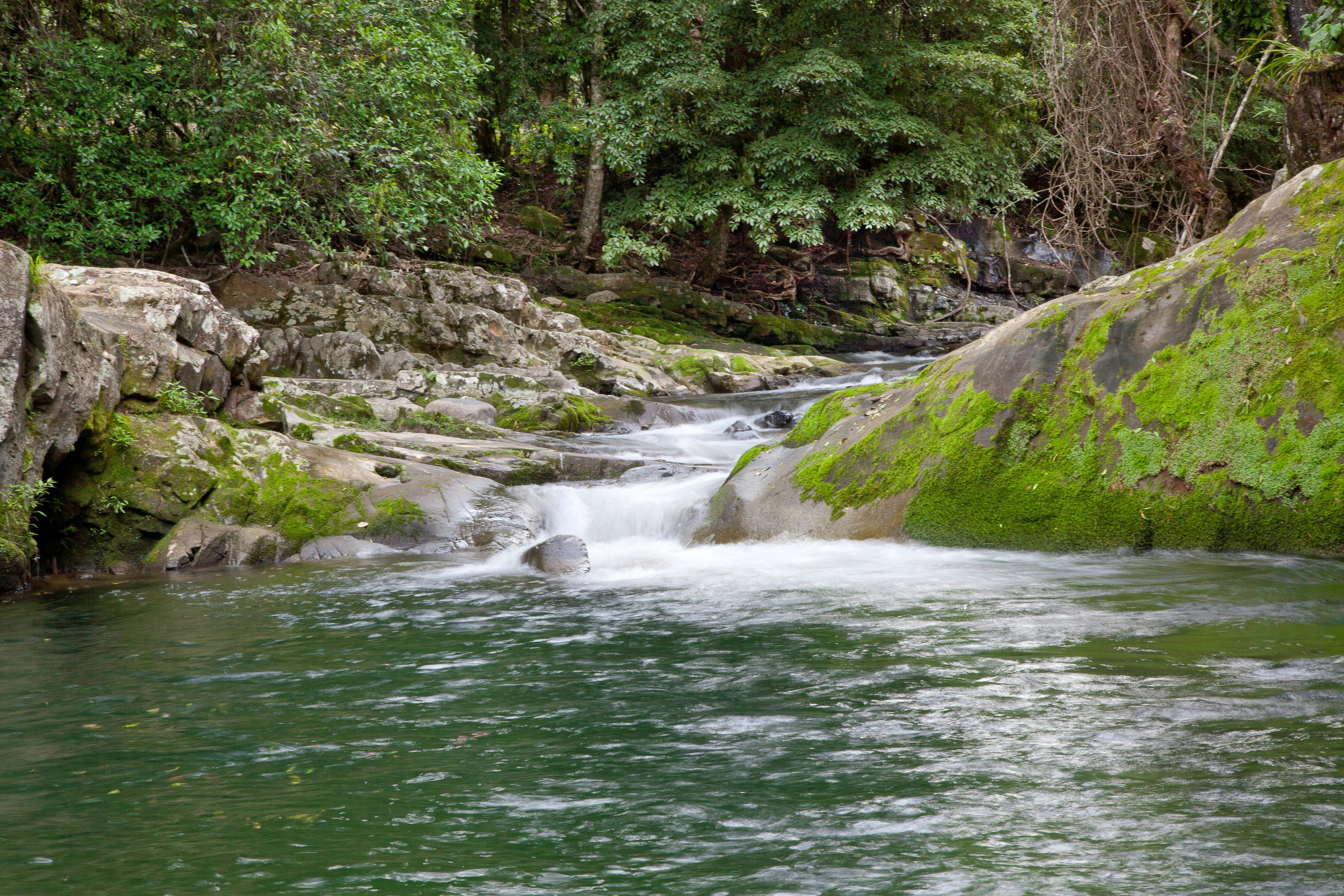 Ladies Well, Allyn River