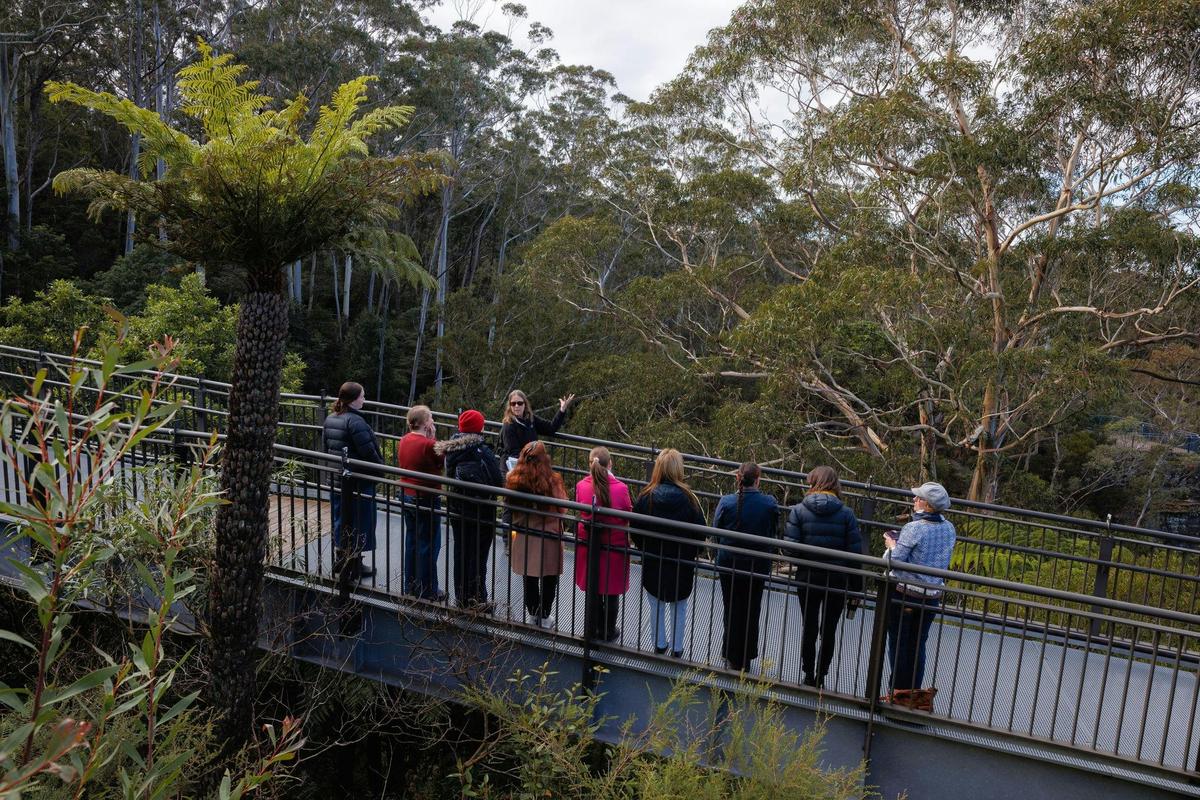 Echo Point Insights Guided Walk