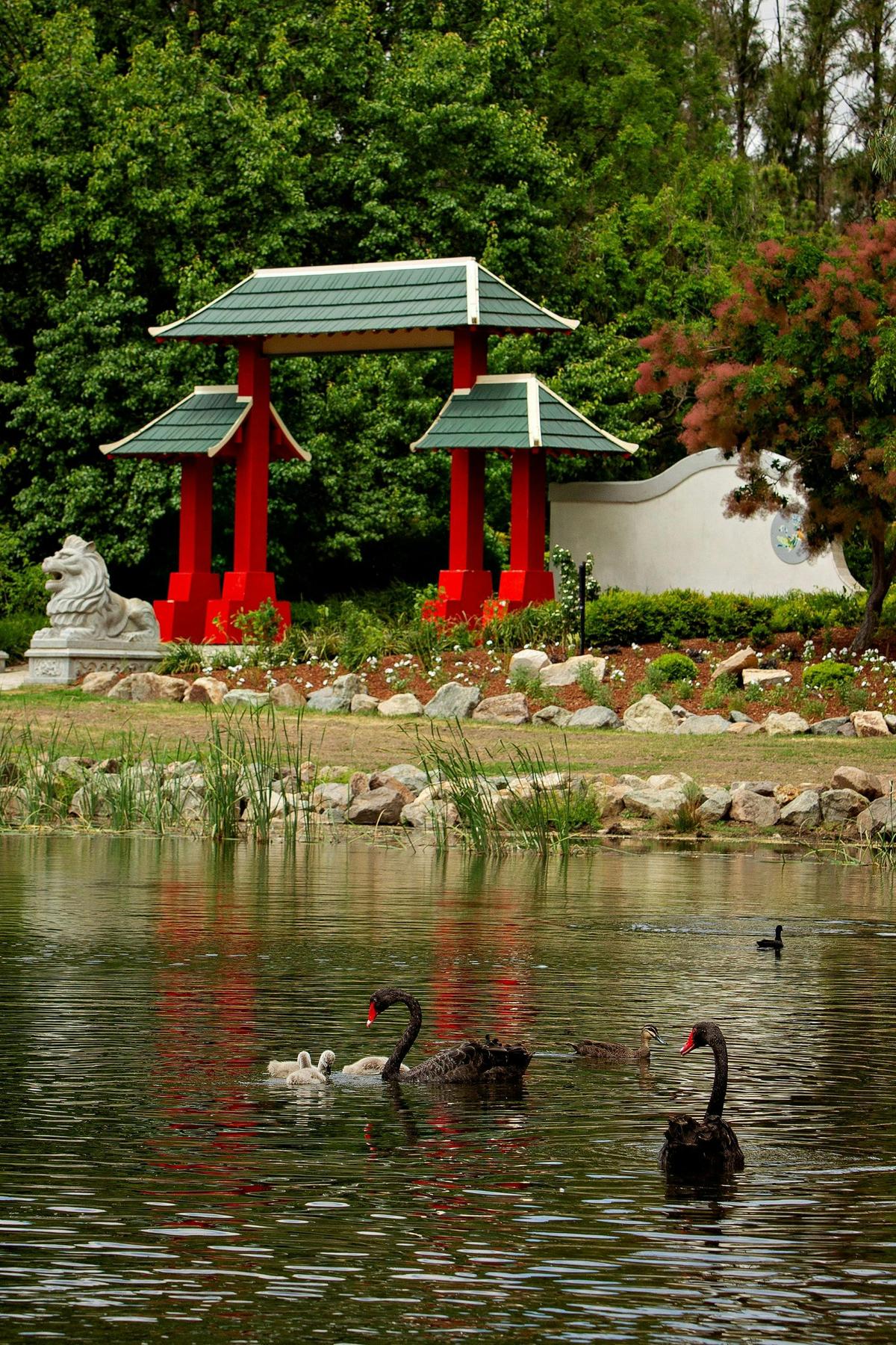 Entrance to the Lambing Flat Chinese Gardens