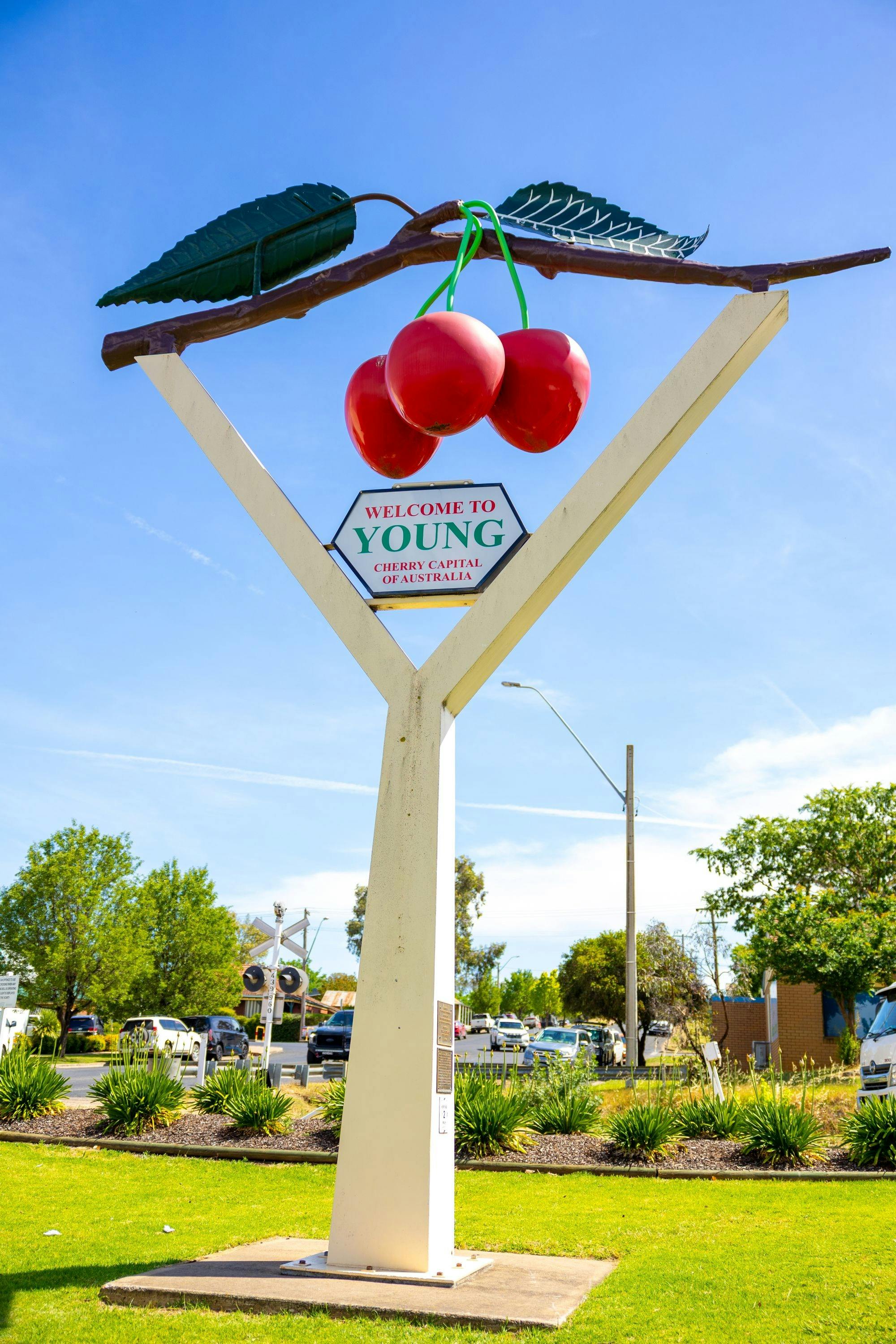 Large Cherries at the Young Visitor Information Centre