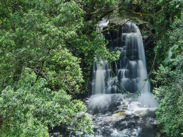 Jerusalem Creek Trail