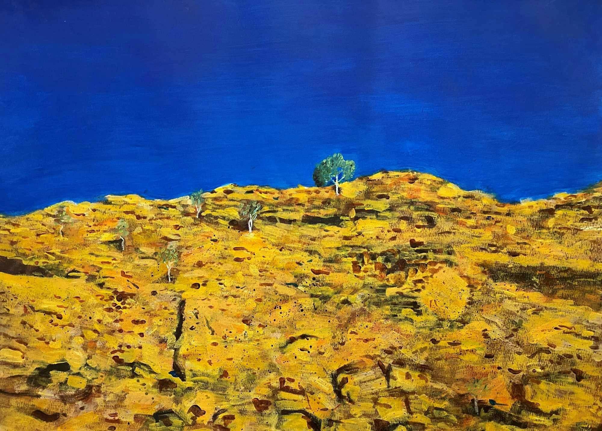 Paul Nelson 'Finke Gorge'