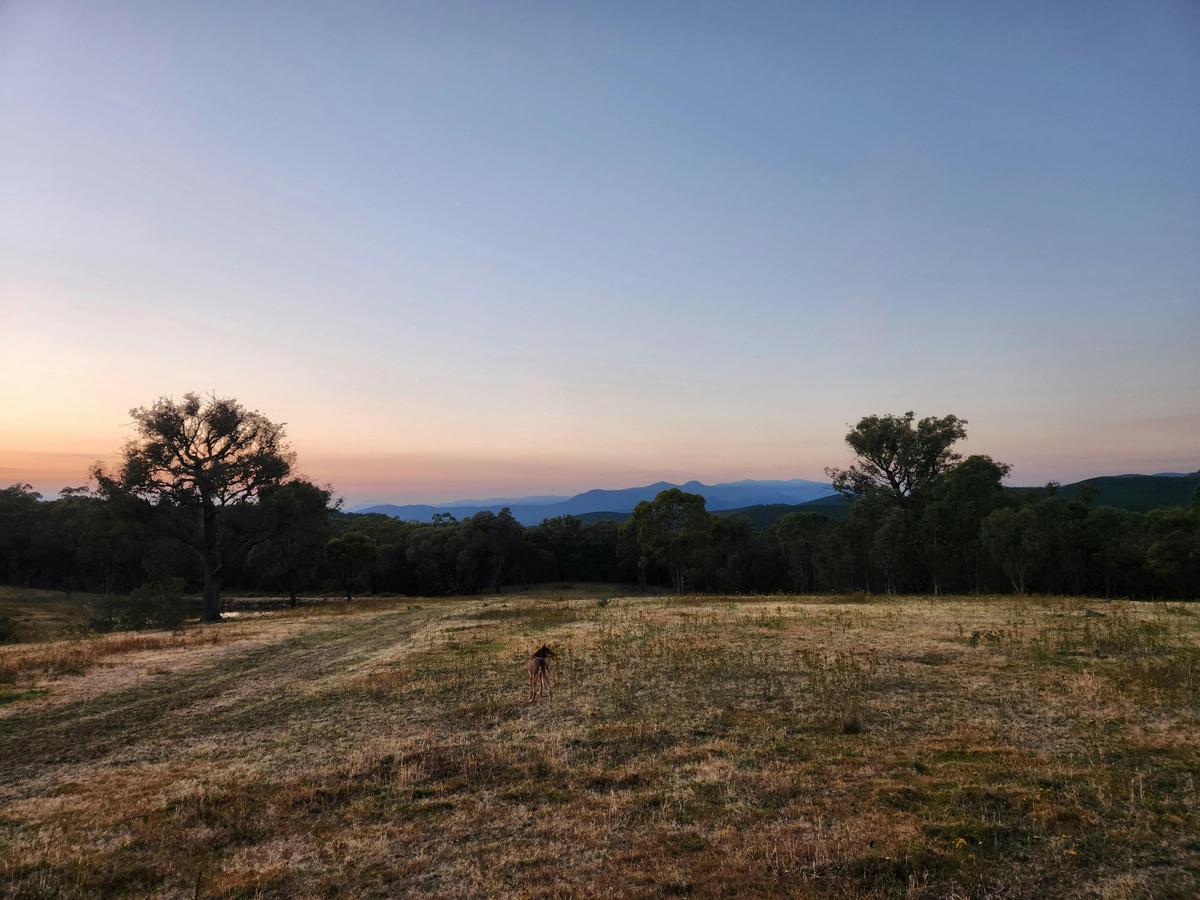 Brindabella mountain range