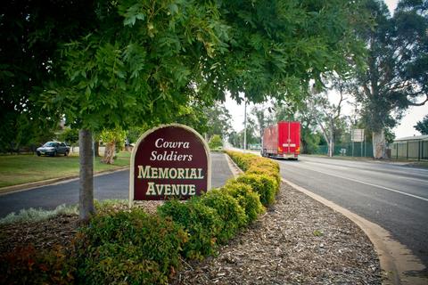 Cowra Soldiers Memorial Avenue
