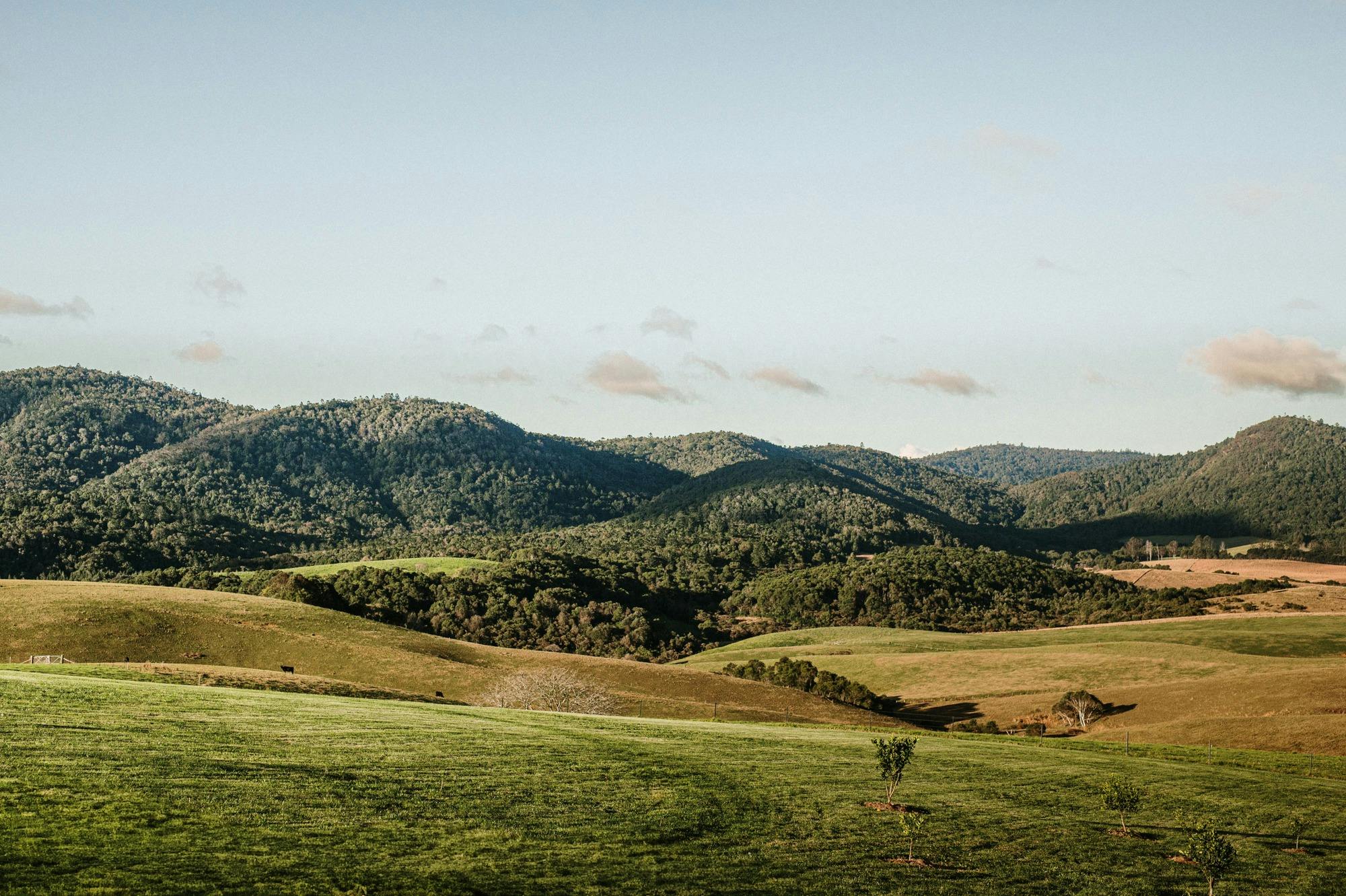 Sweeping views across the Dorrigo Plateau