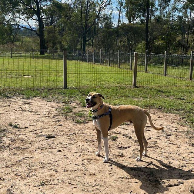 Huntlee Dog Park