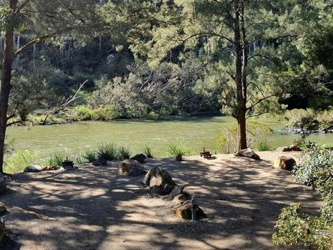 Campsites by the Nymboida River at Cod Hole campground and picnic area in Nymboi-Binderay National