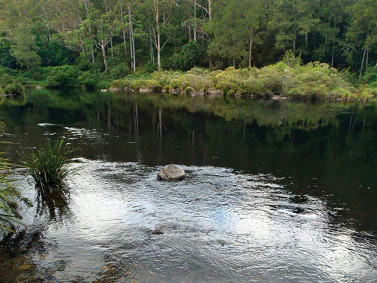 Cod Hole campground and picnic area, Nymboi-Binderay National Park. Photo: Rob Cleary/NSW Government