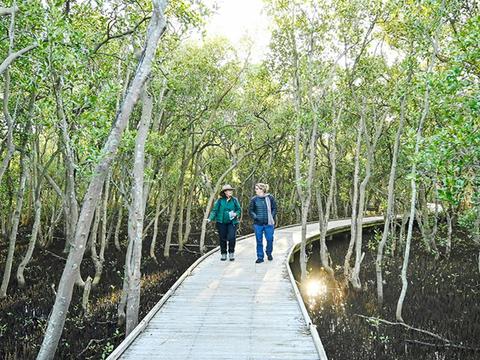 Hunter Wetlands National Park