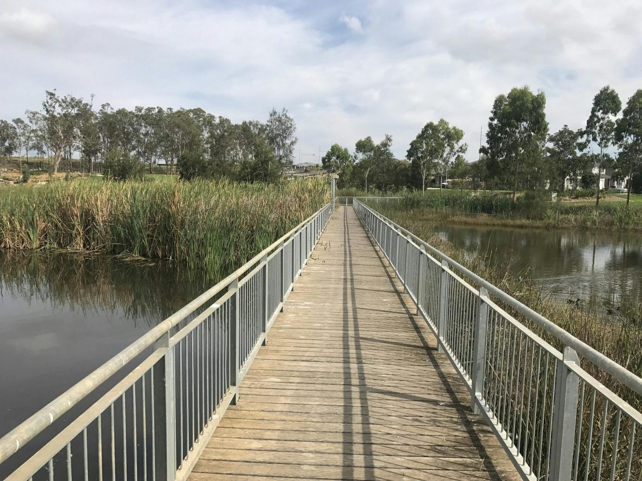 A boardwalk at Kolombo Reserve