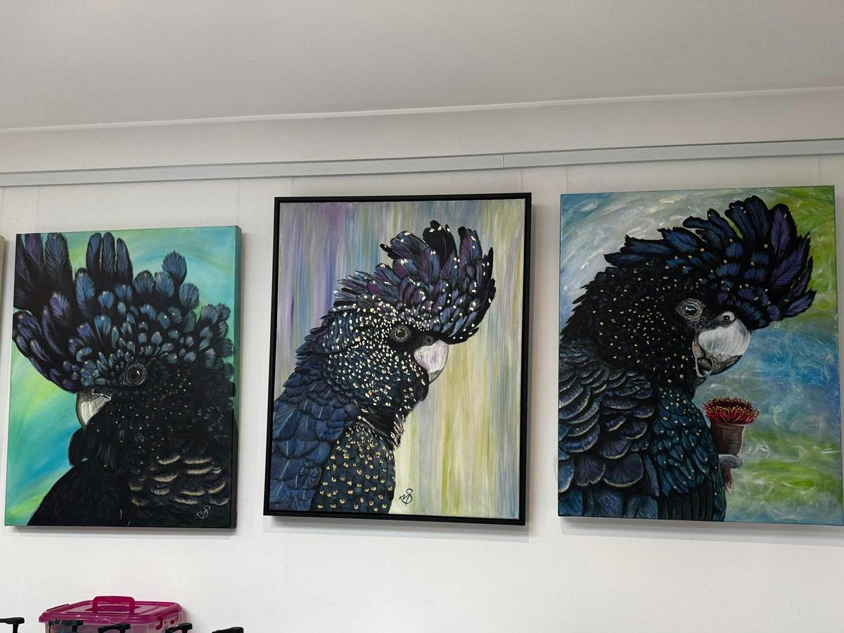 Black cockatoos