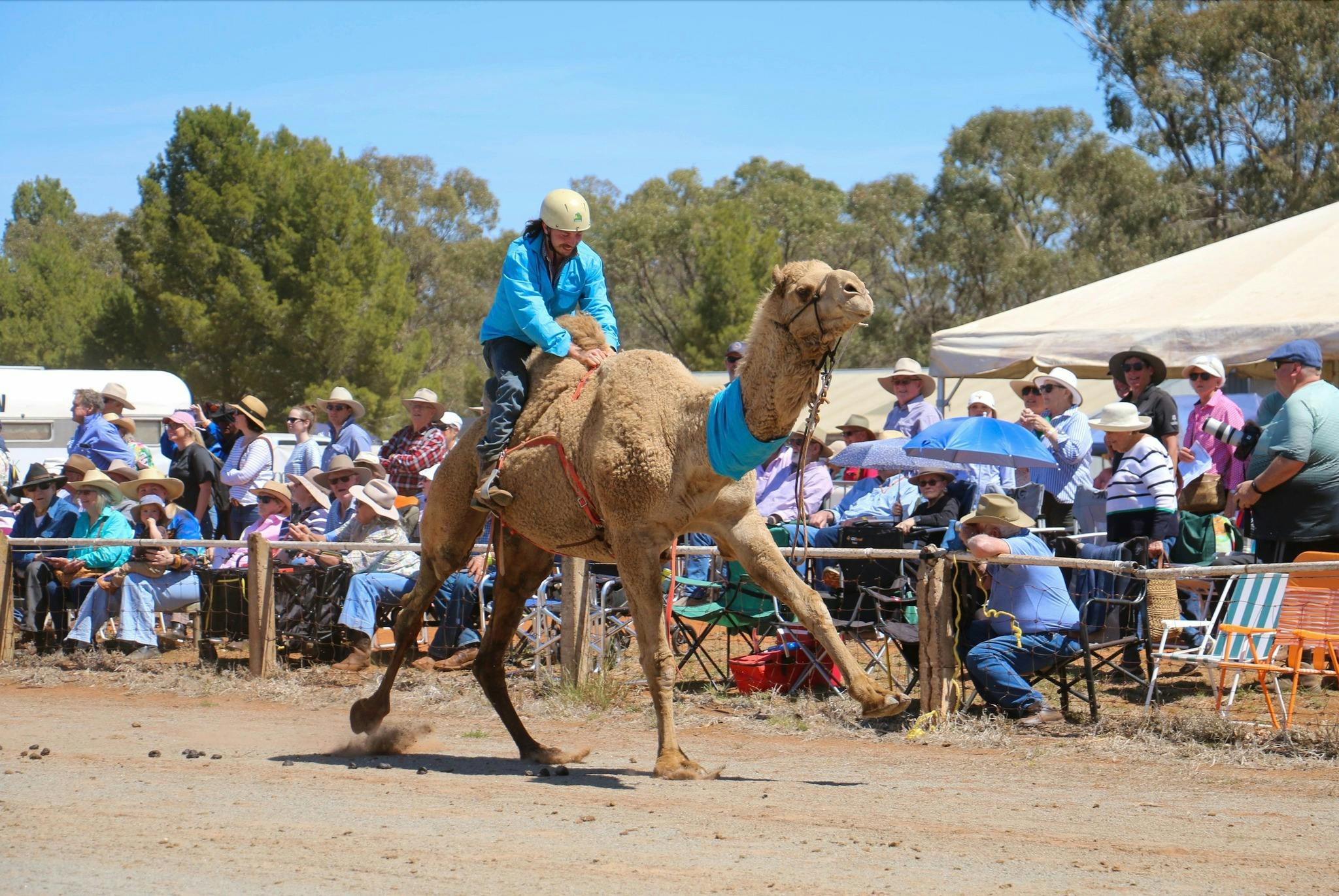 Barellan Good Old Days 2025