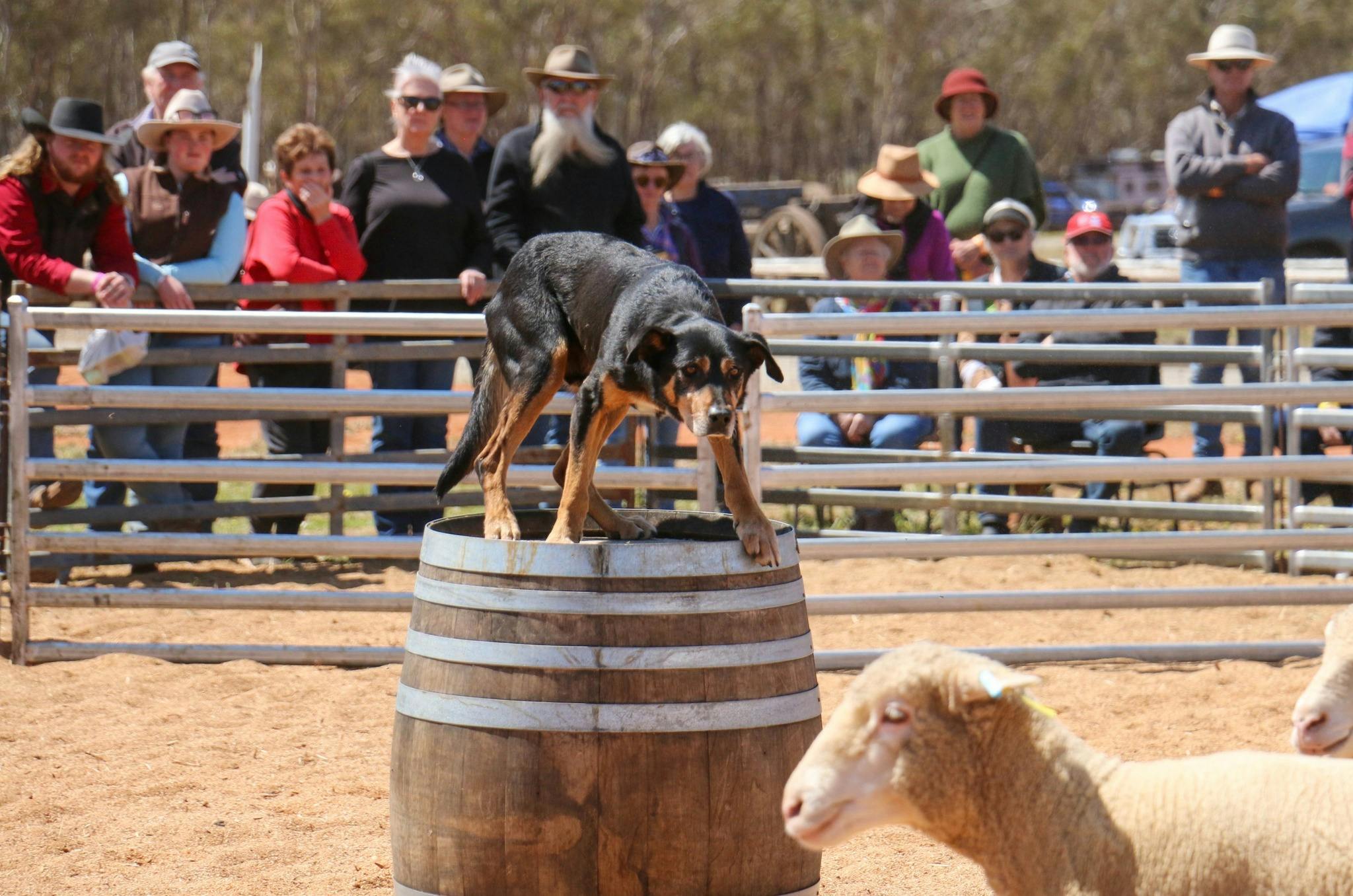 Barellan Good Old Days 2025