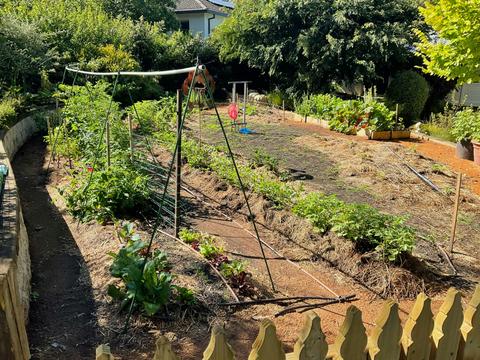 Fundamentals of  Cool/Cold Climate Vegetable Growing
