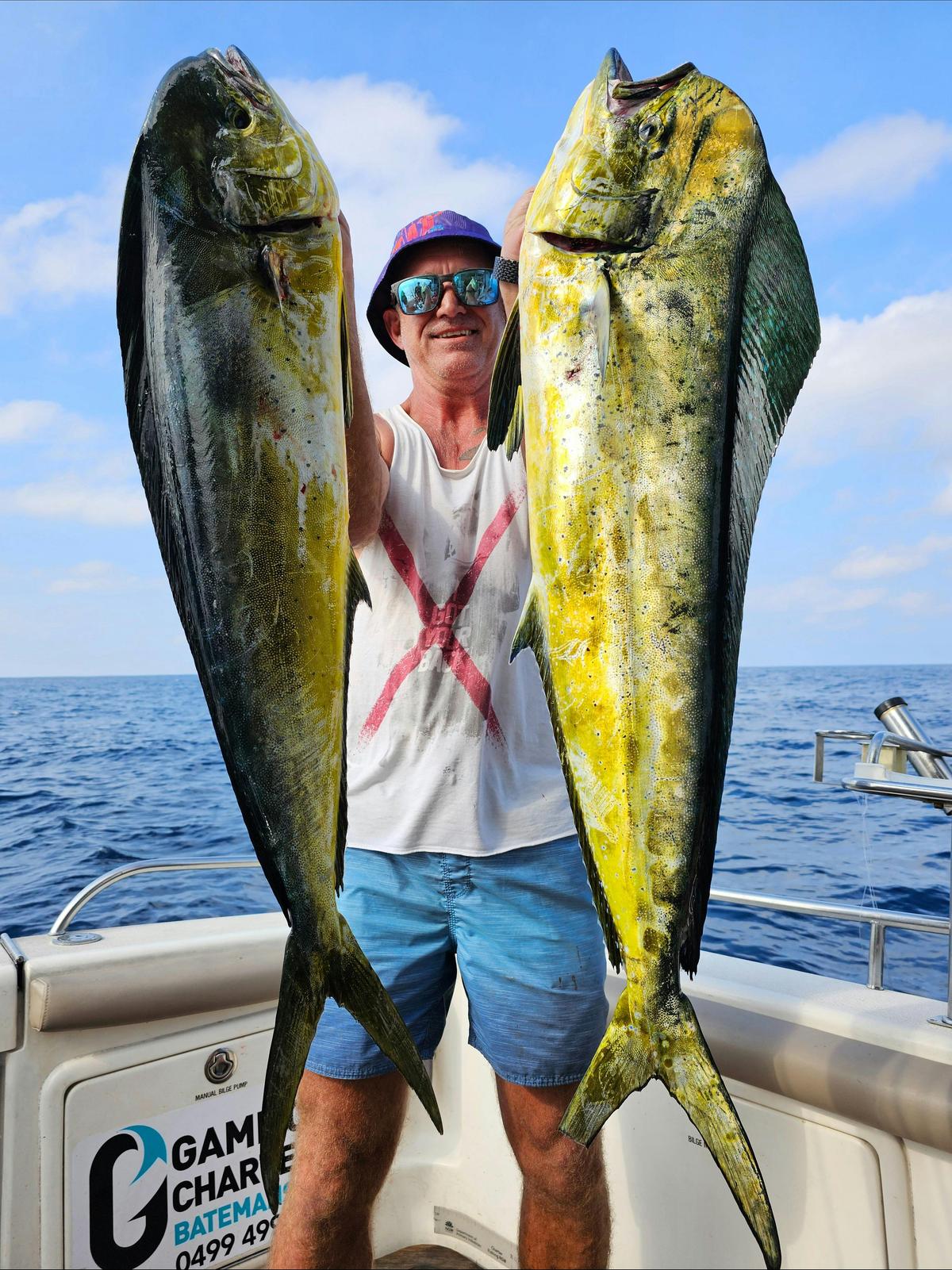 Mahi mahi