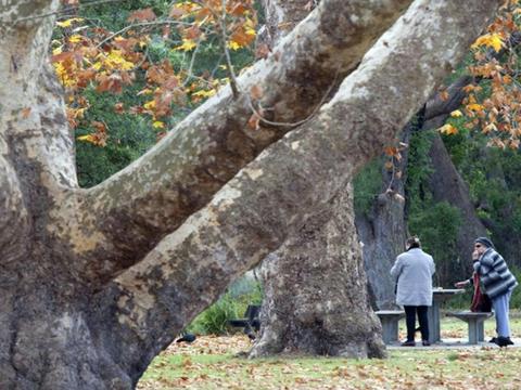 Ironbark Flat picnic area