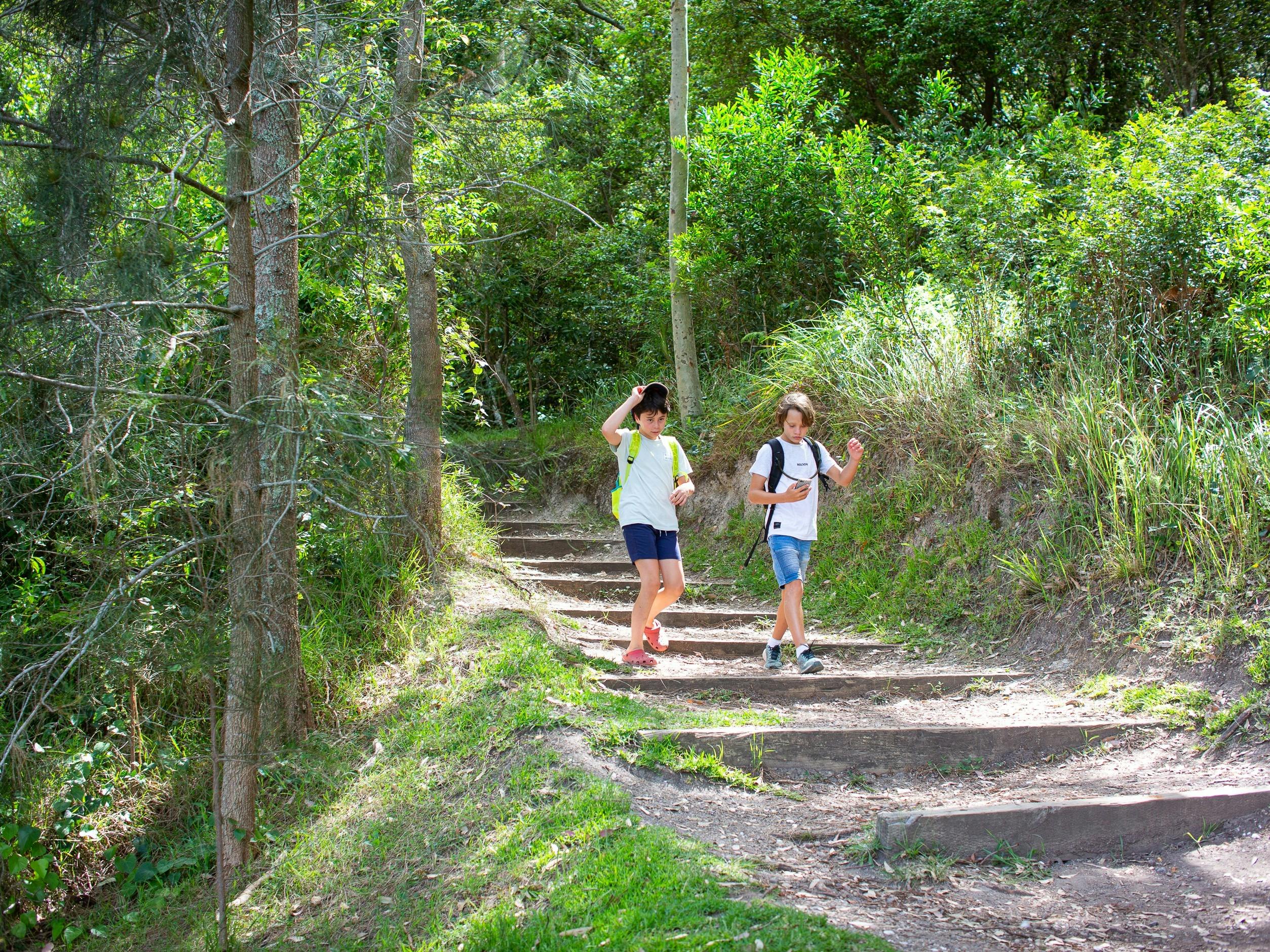 bush track Green Point